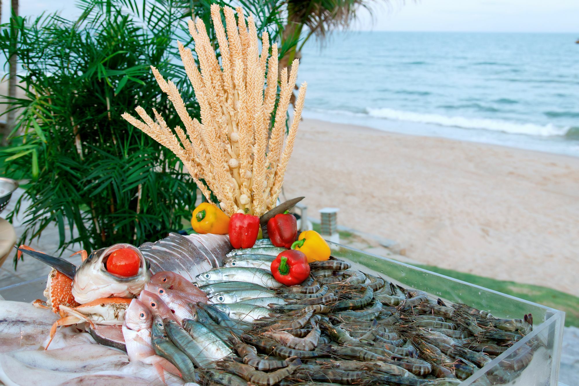 Villa Del Sol Beach Resort & Spa Phan Thiết Extérieur photo